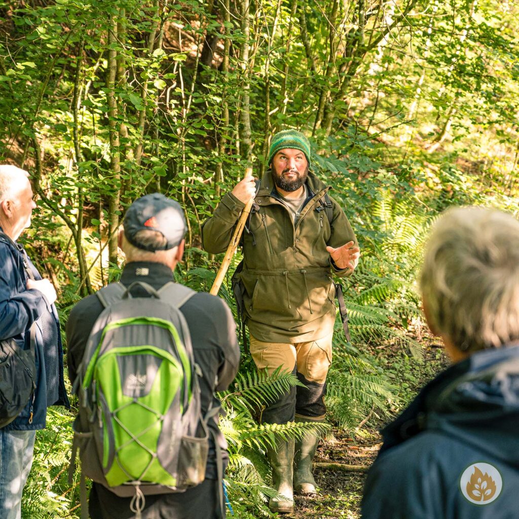 foraging course in wales